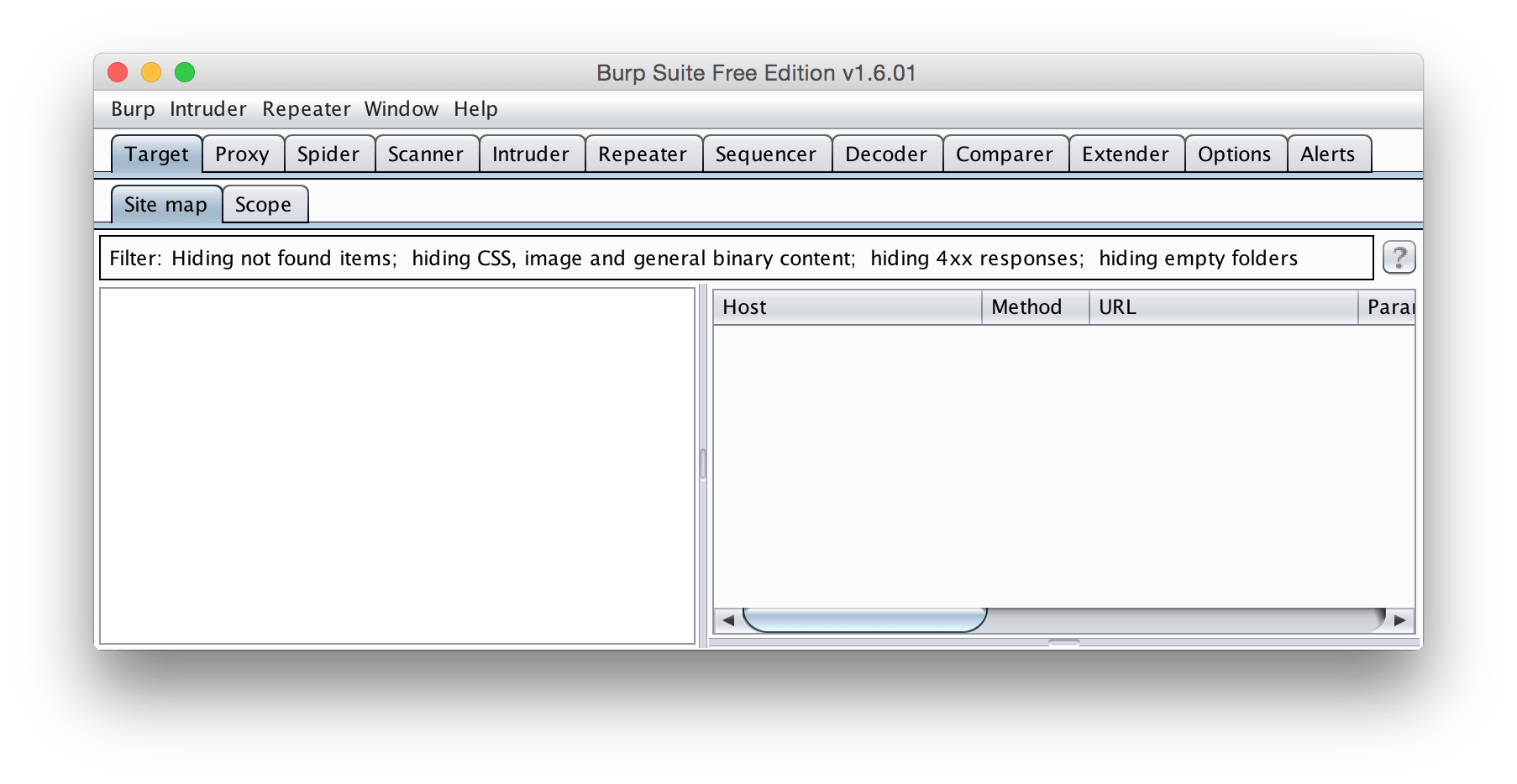 Burp Suite on First Open