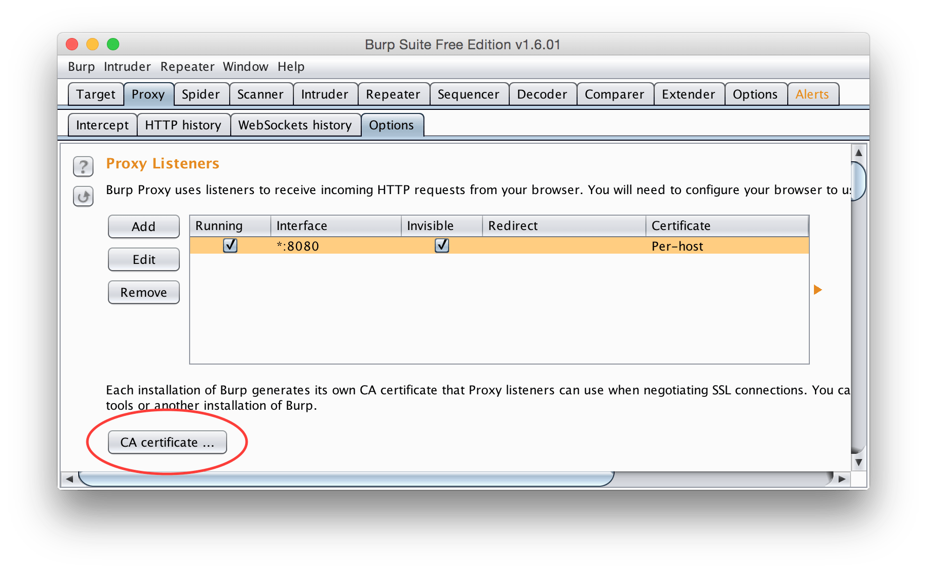 BurpSuite Proxy Settings